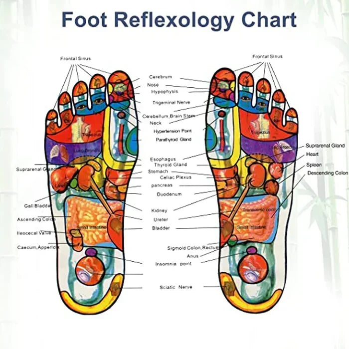 KINOKI Foot Patch